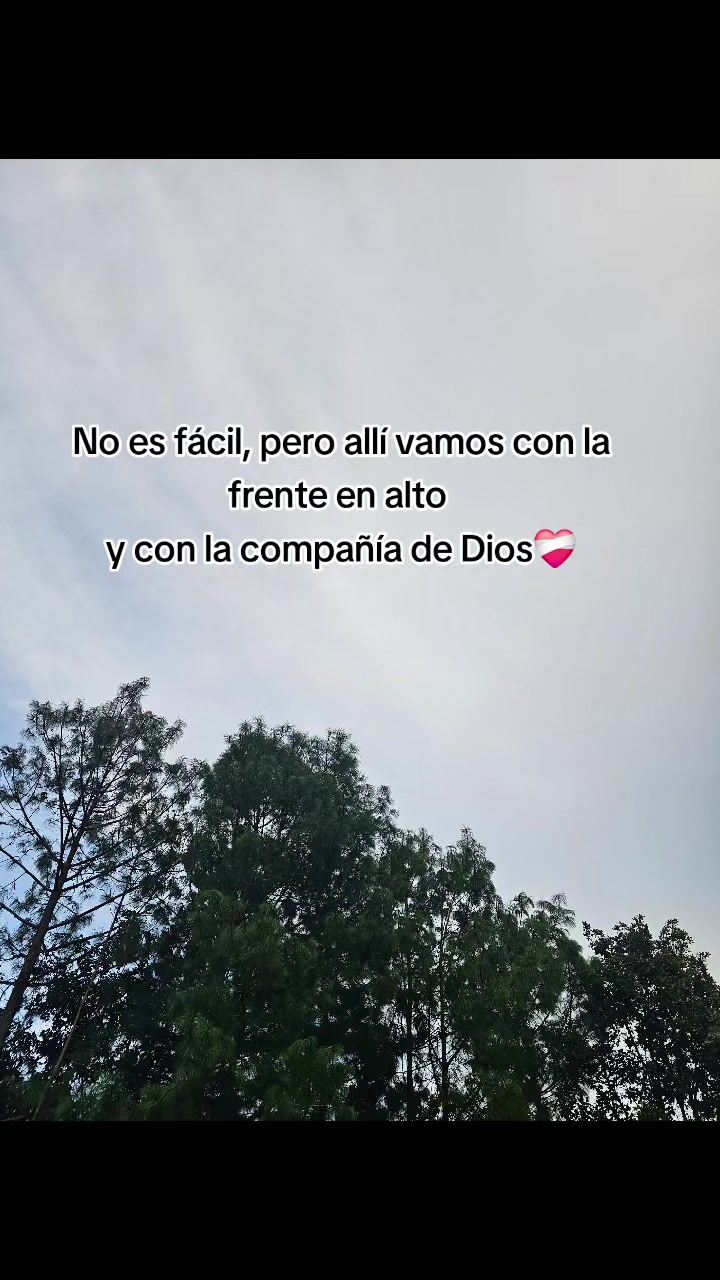 @CONSTRUCCIONES VICASTHER