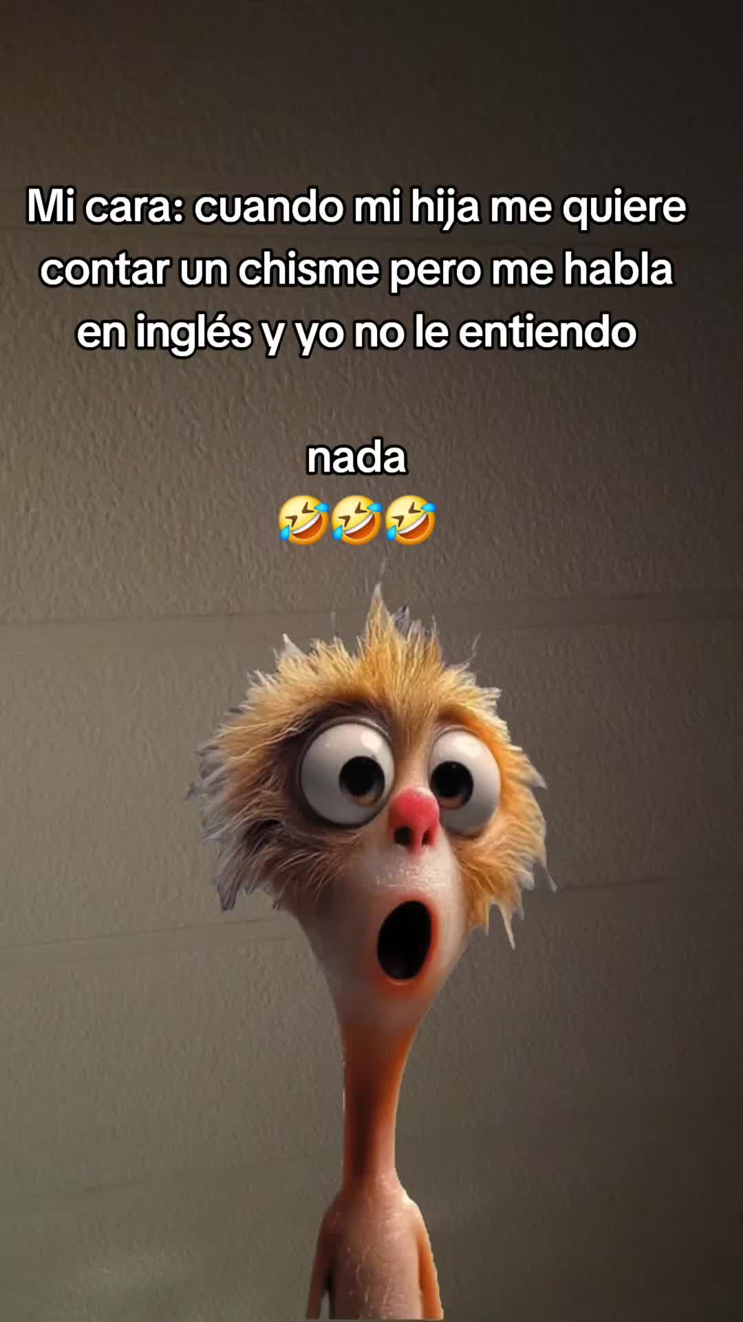 @ingridm