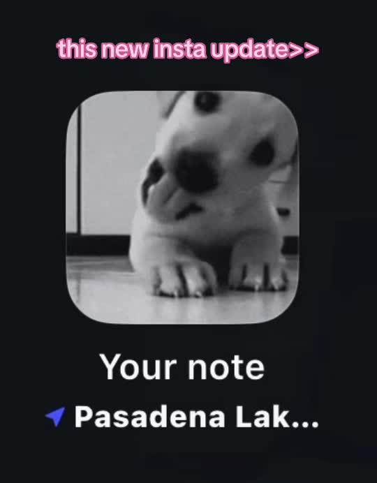 @elapup🐾🦴