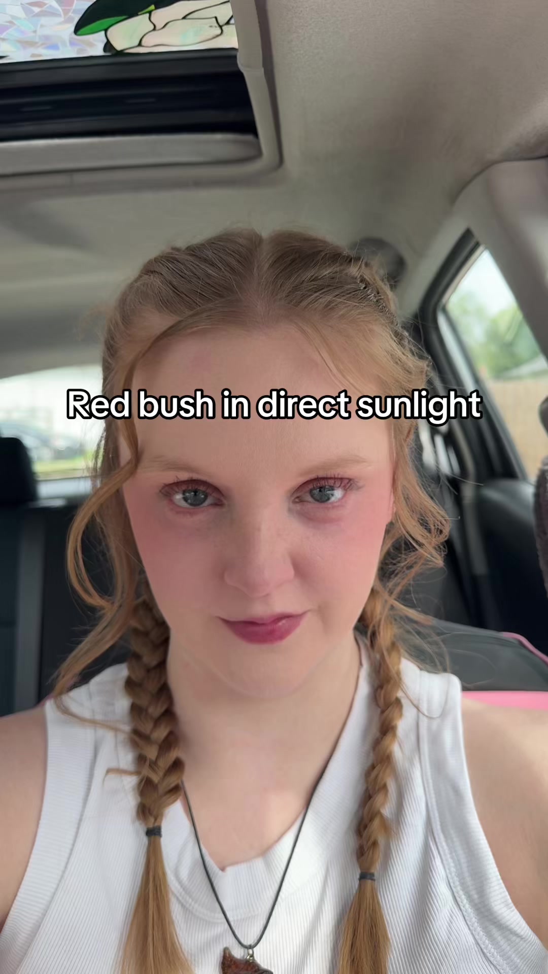 @Scarlet Iris