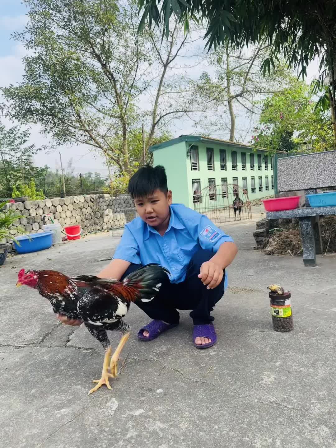 @quochuong.moicocran