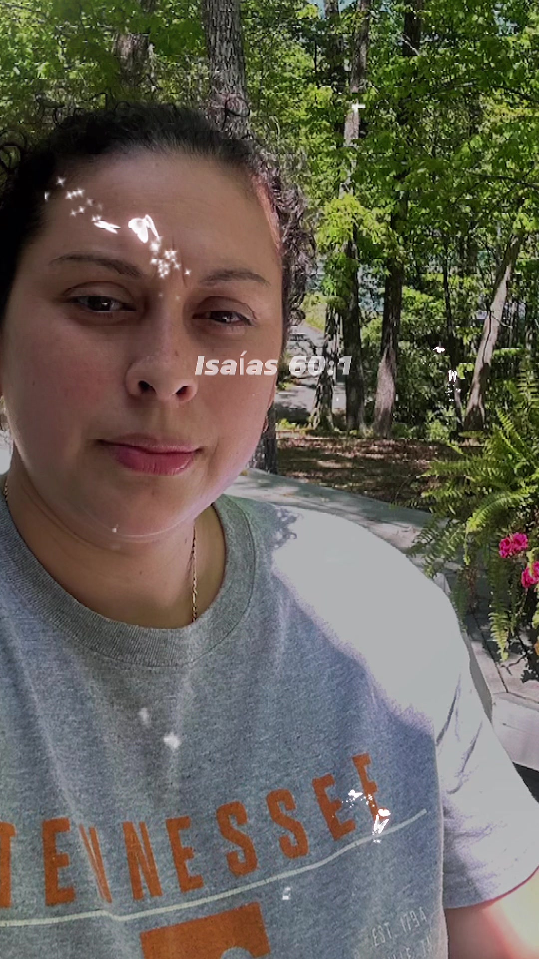 @Bella.C