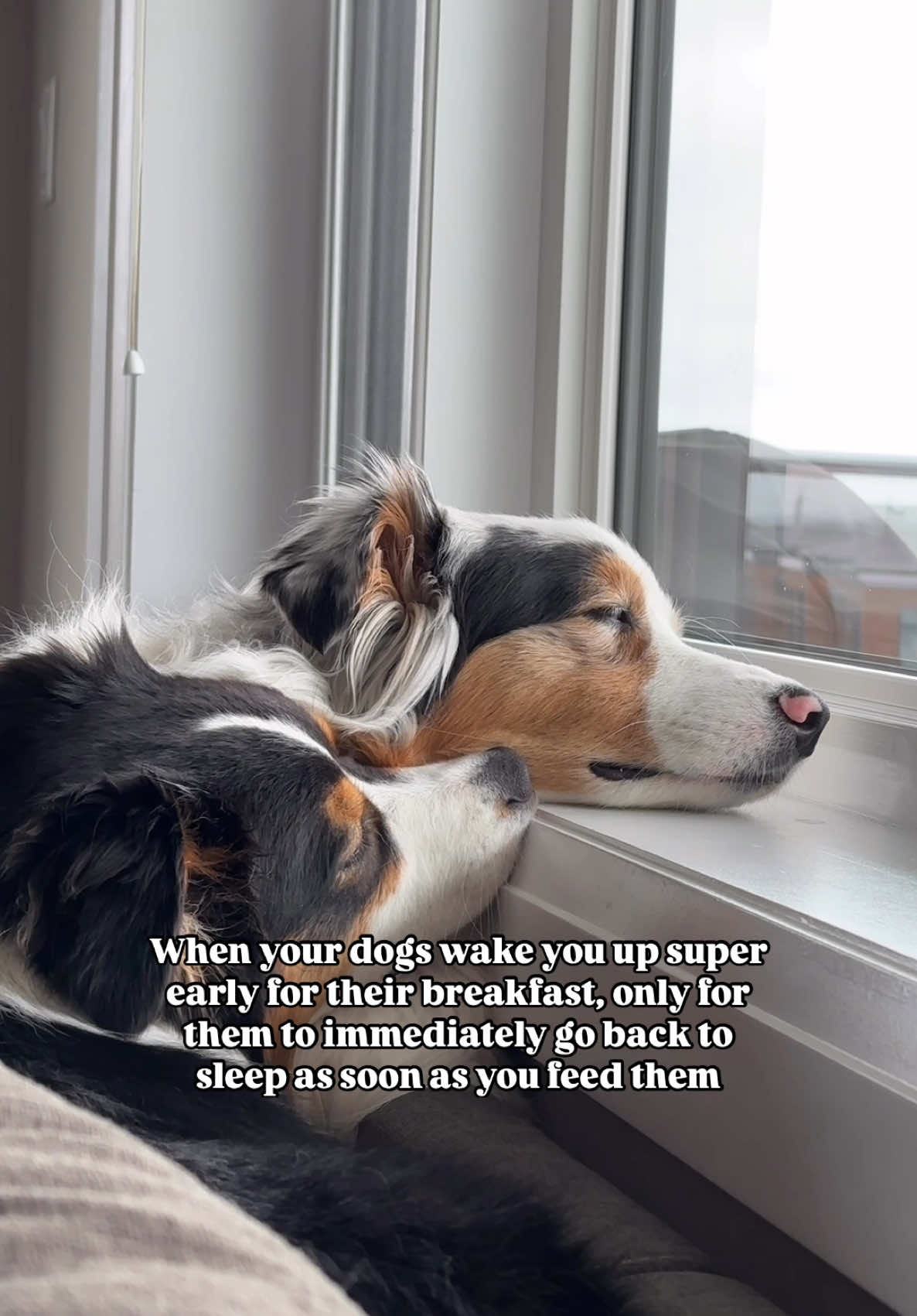 @Aiko & Nara