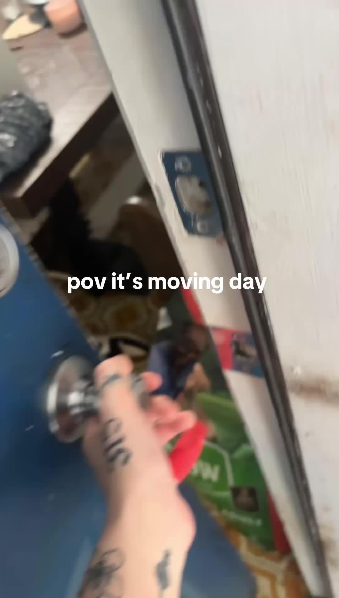 @Chipss810