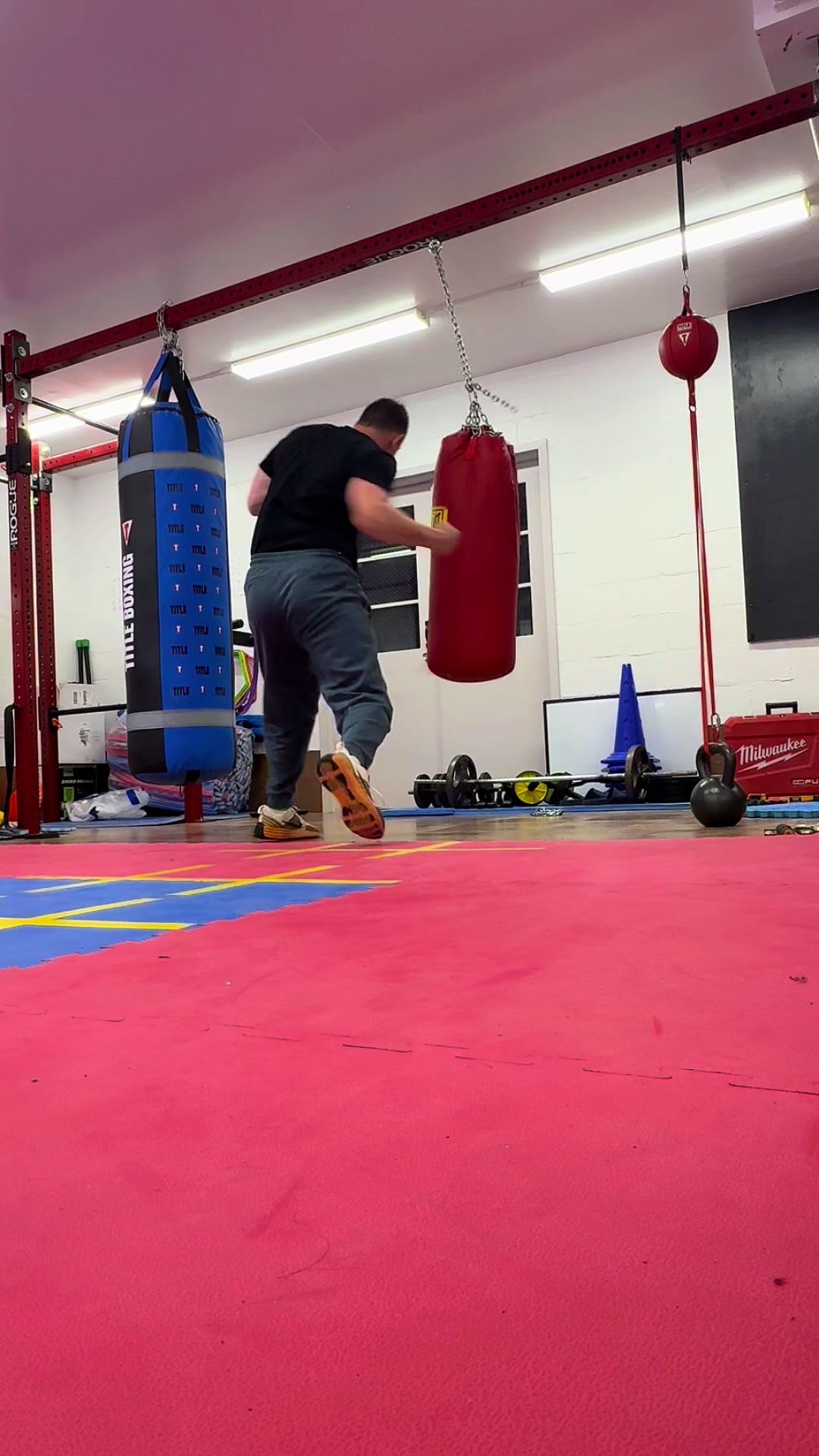 @boxing.stamford
