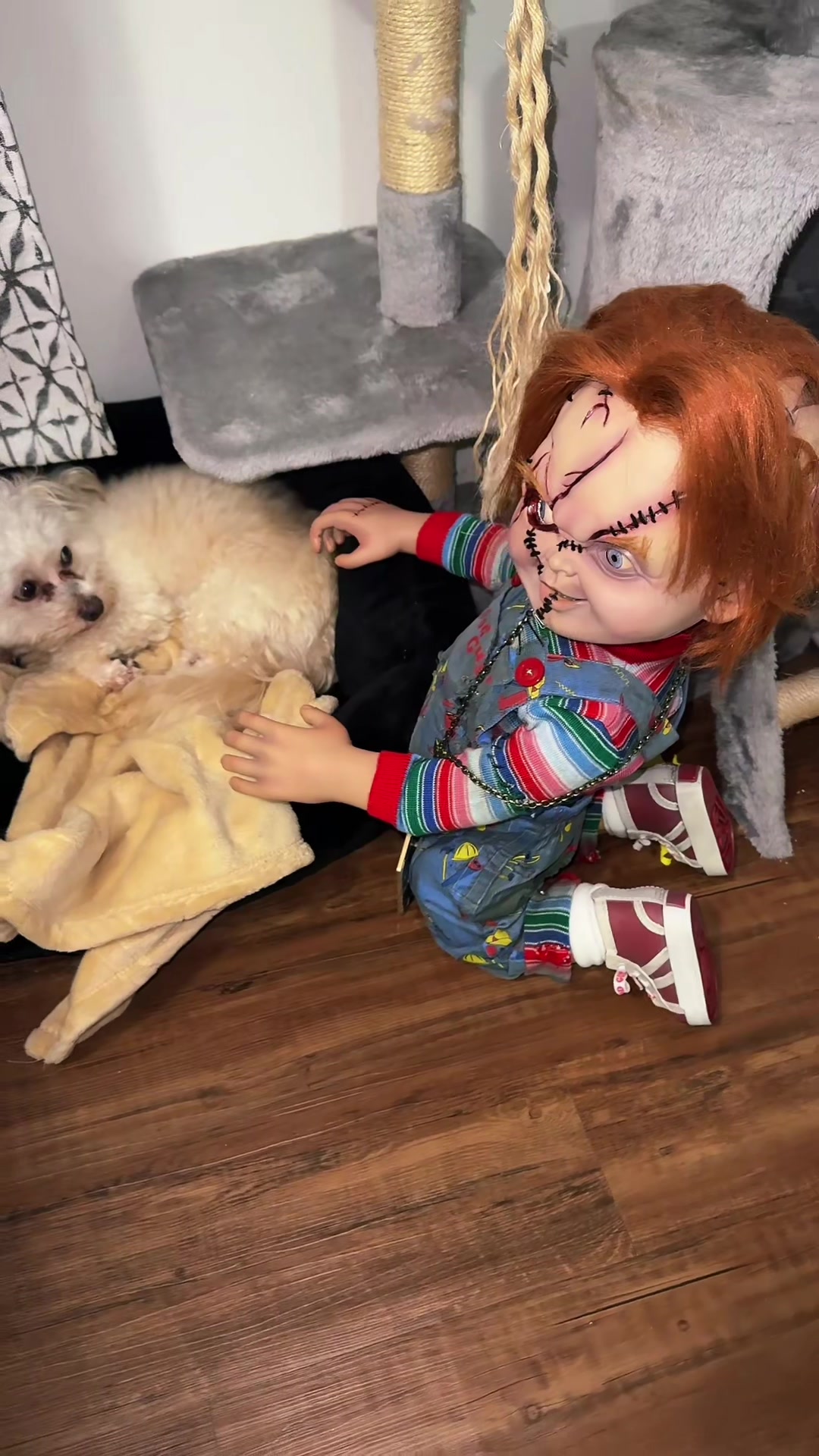 @Tyff&Chucky 💅🏻🔪