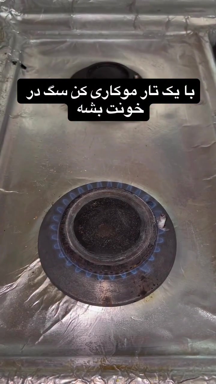 @doafalosta
