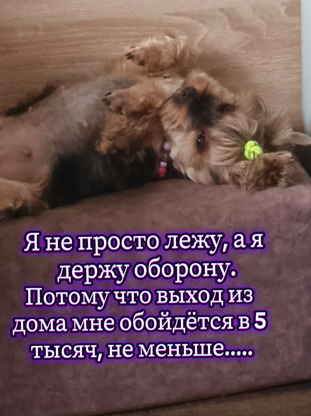 @Соня и Бетти ❤️