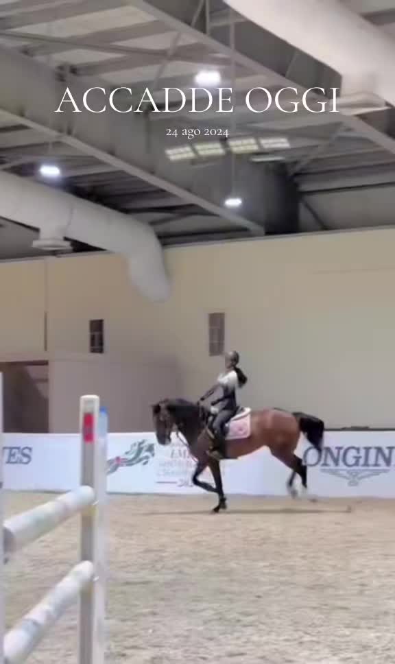 @Desy🐴