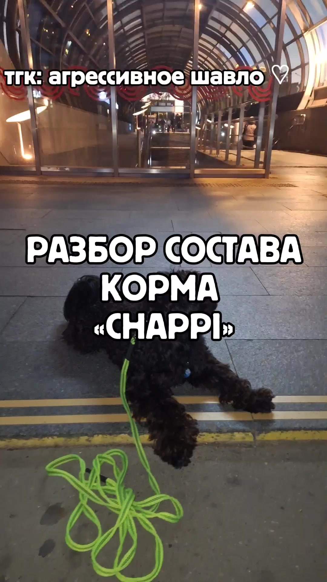 @ⲁⲅⲣⲉⲥⲥ&upsilon;ⲃⲏⲟⲉ ⲱⲁⲃⲗⲟ