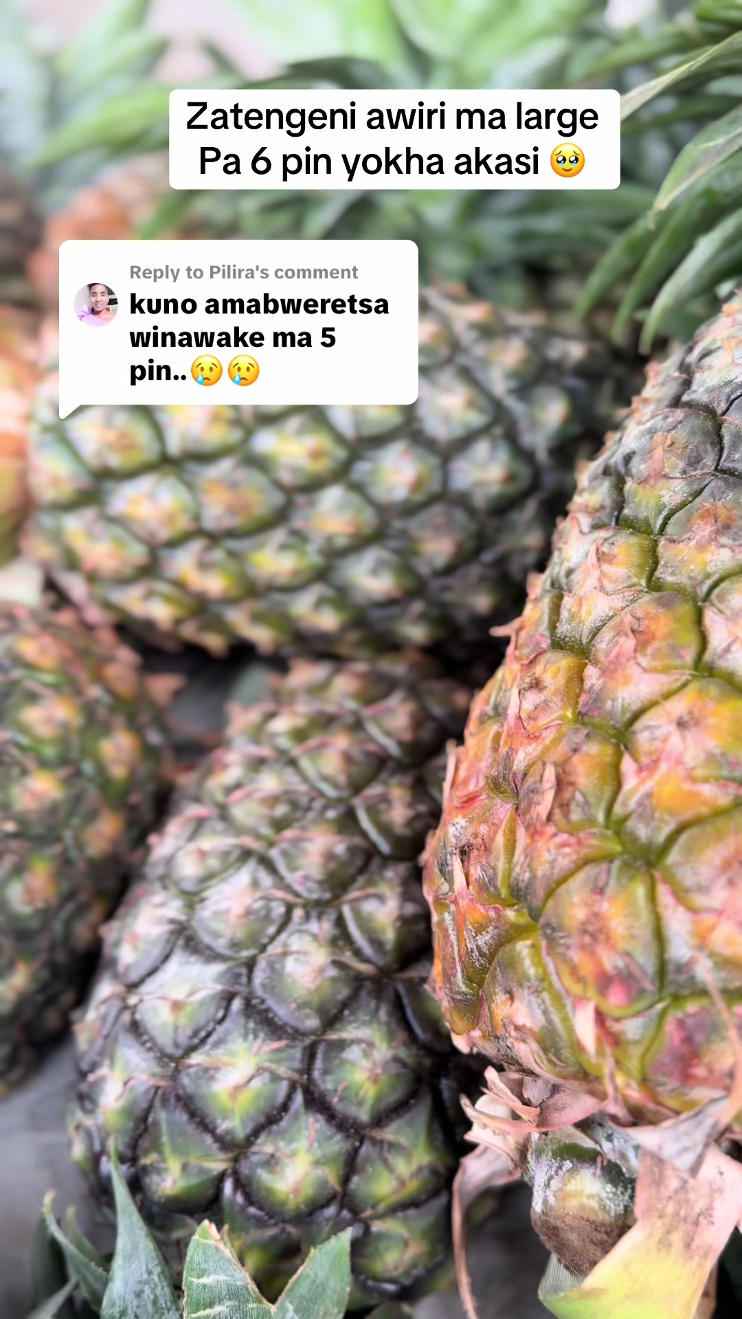 @Zammunda Fruits