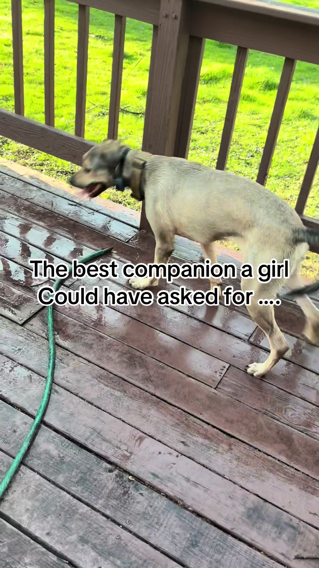 @Kenzieskyles