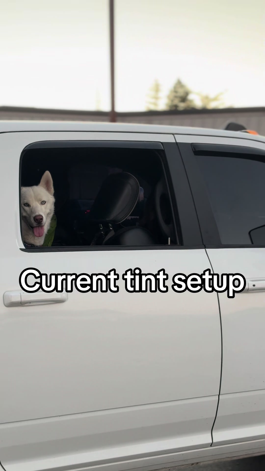 @conex916