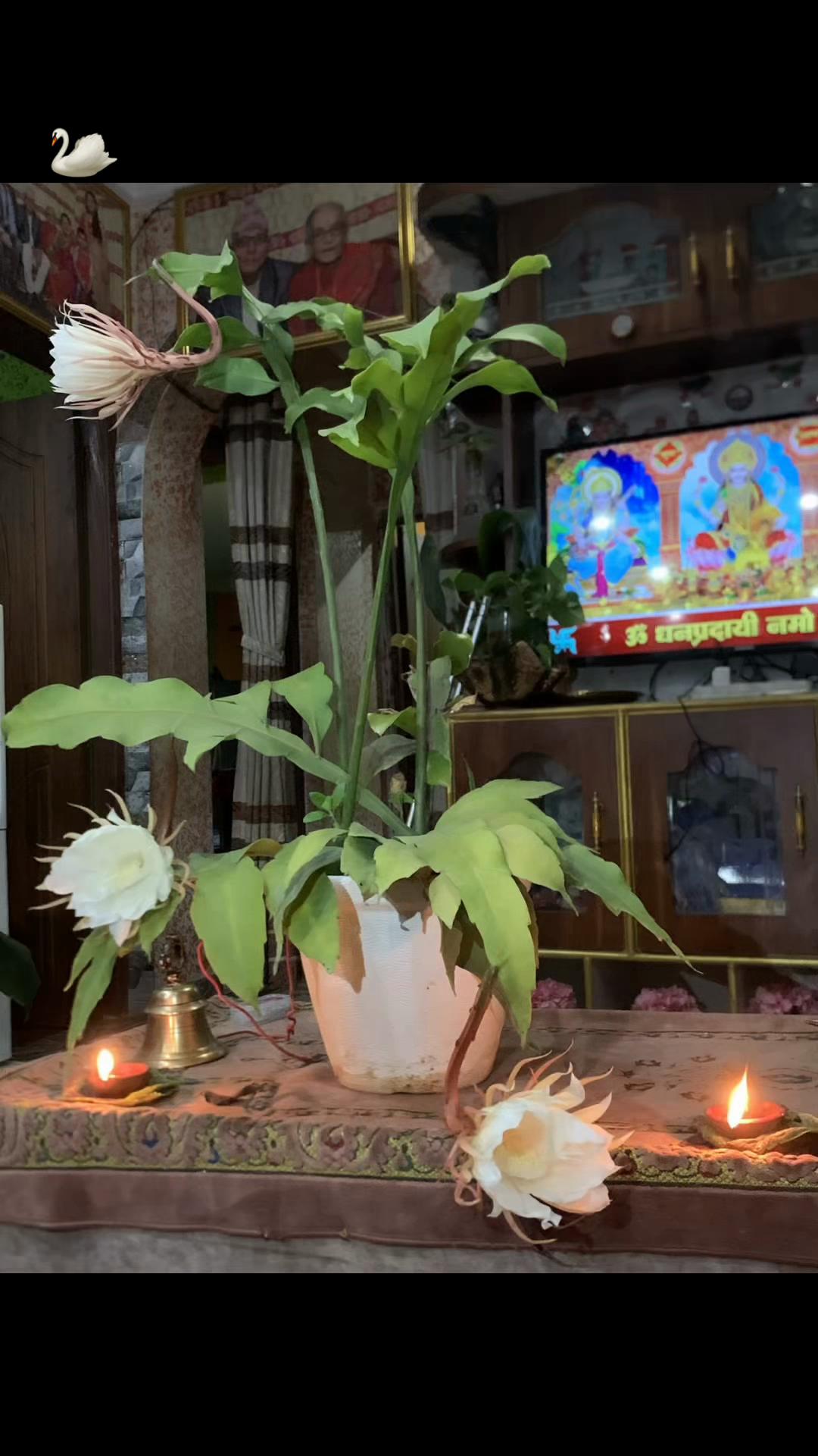 @Raju Chauhan