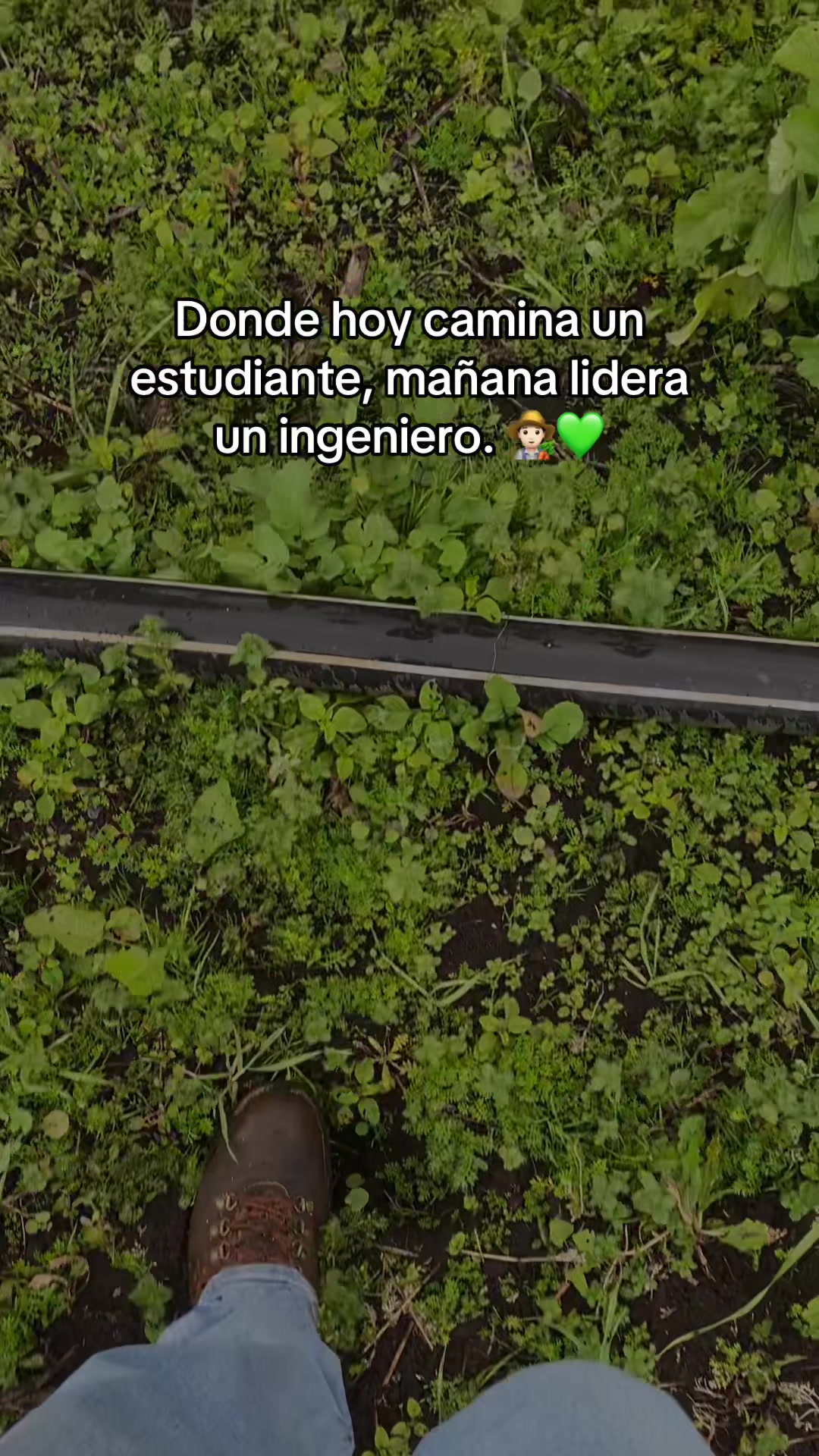 @Juan Felipe G 🧑🏻&zwj;🌾