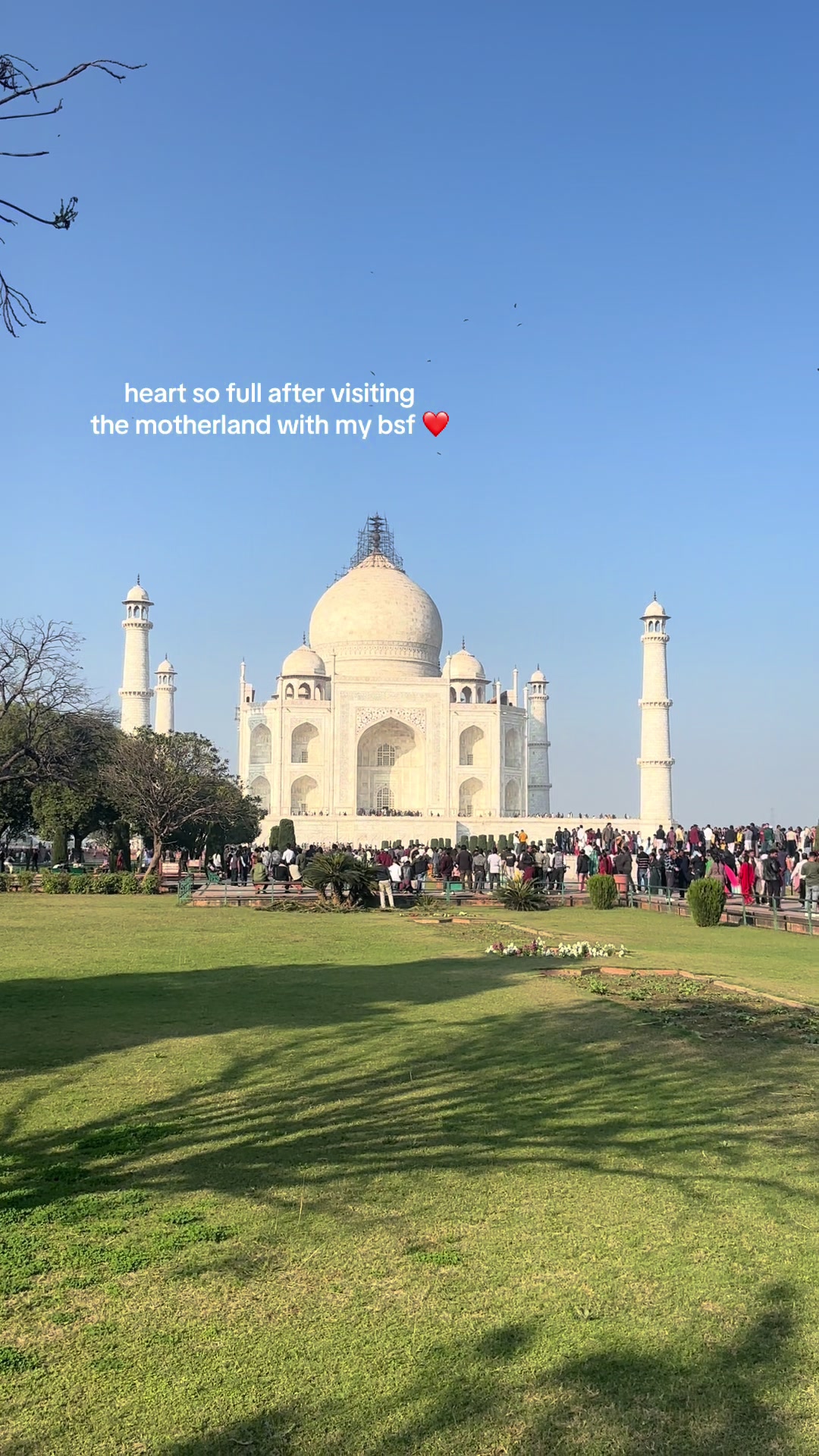 @hasvi.pat