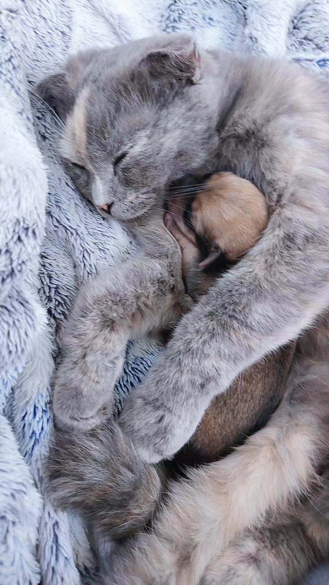 @Анастасия Барзак