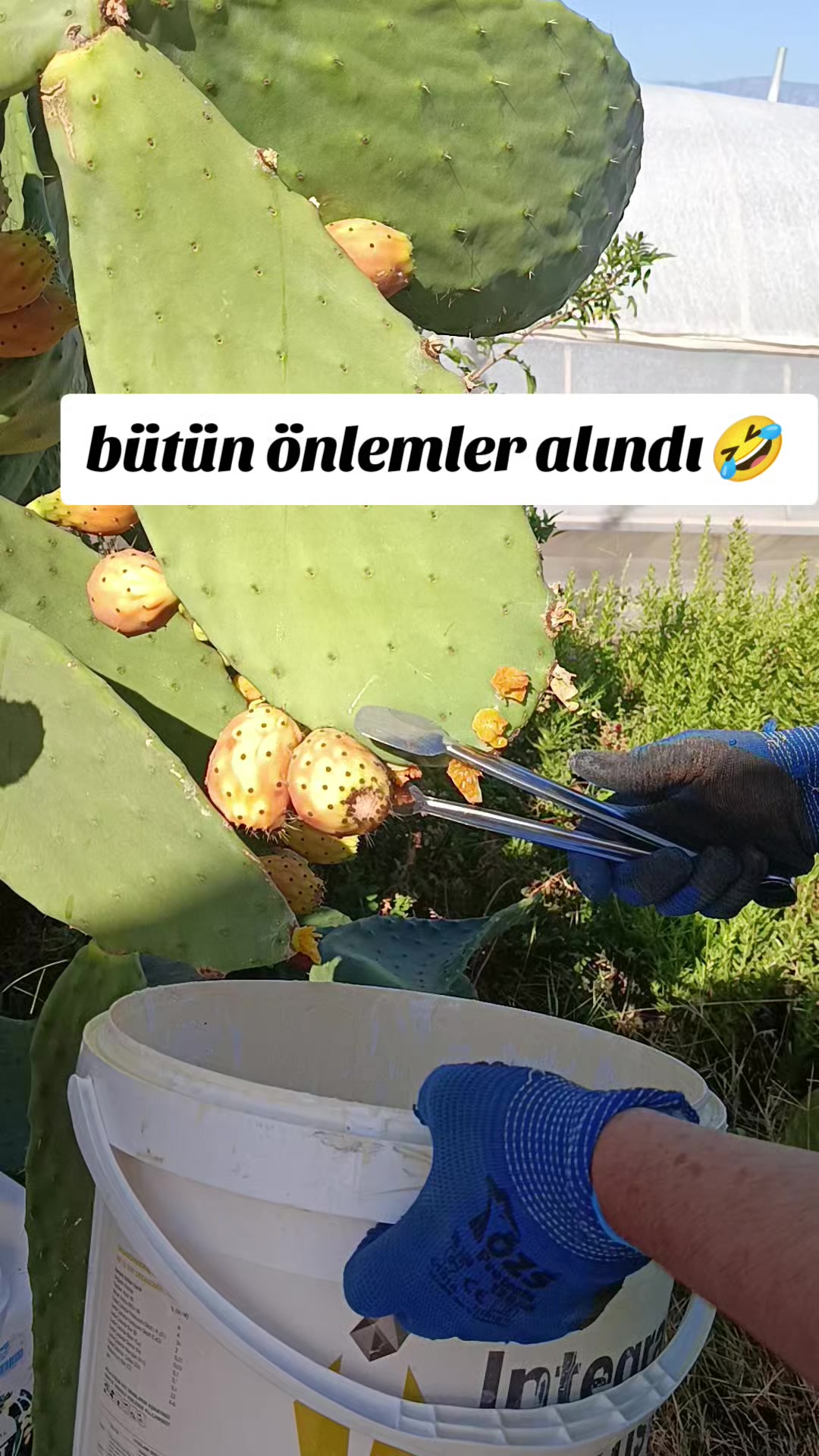 @aslsungur4
