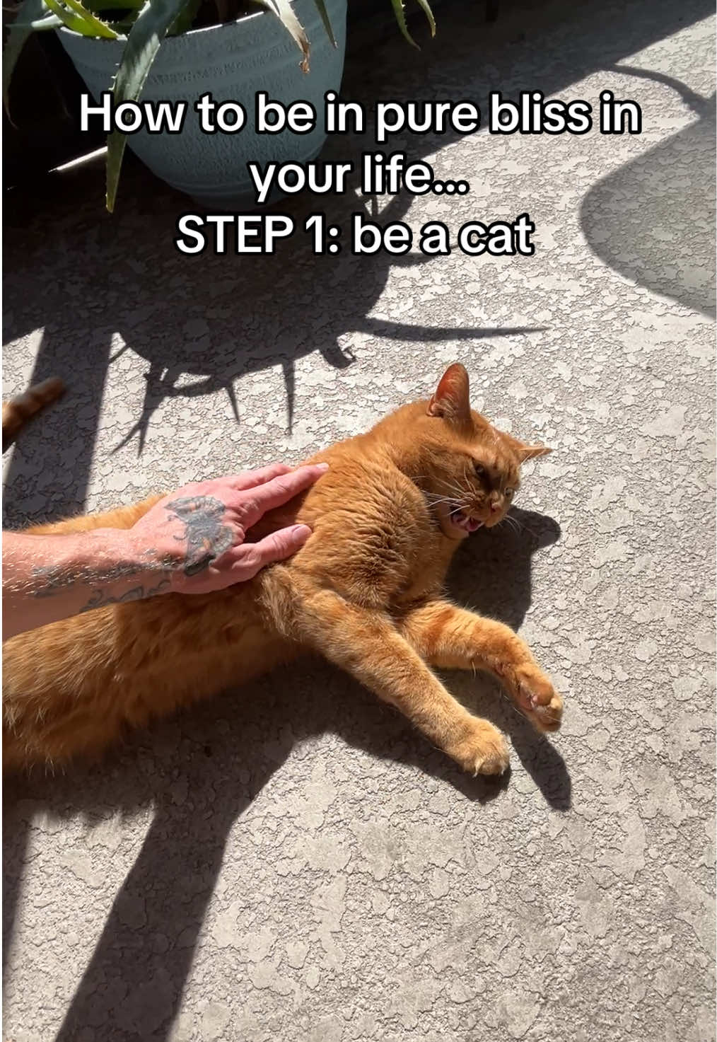 @Stormy & Sunny