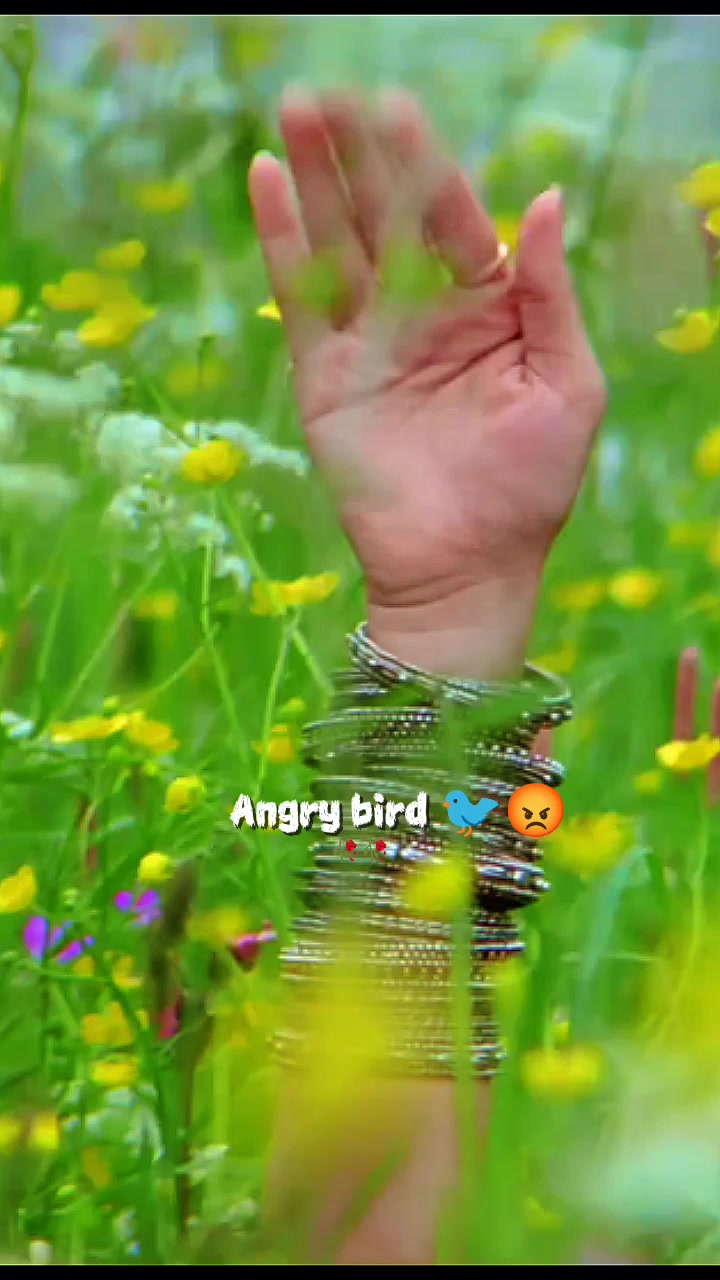 @💫𝖆𝖓𝖌𝖗𝖞 𝖇𝖎𝖗𝖉𝖘💫💥