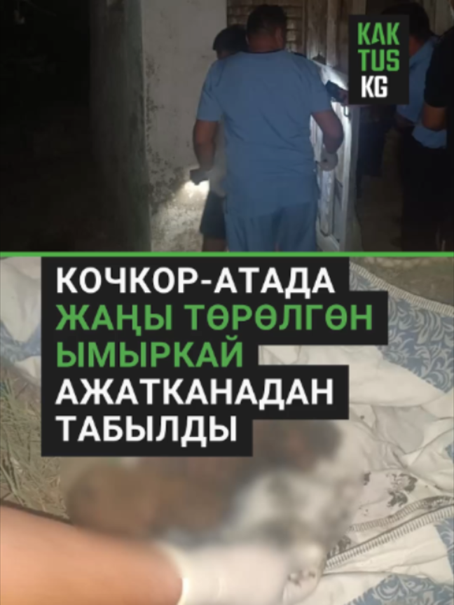 @Kaktus KG