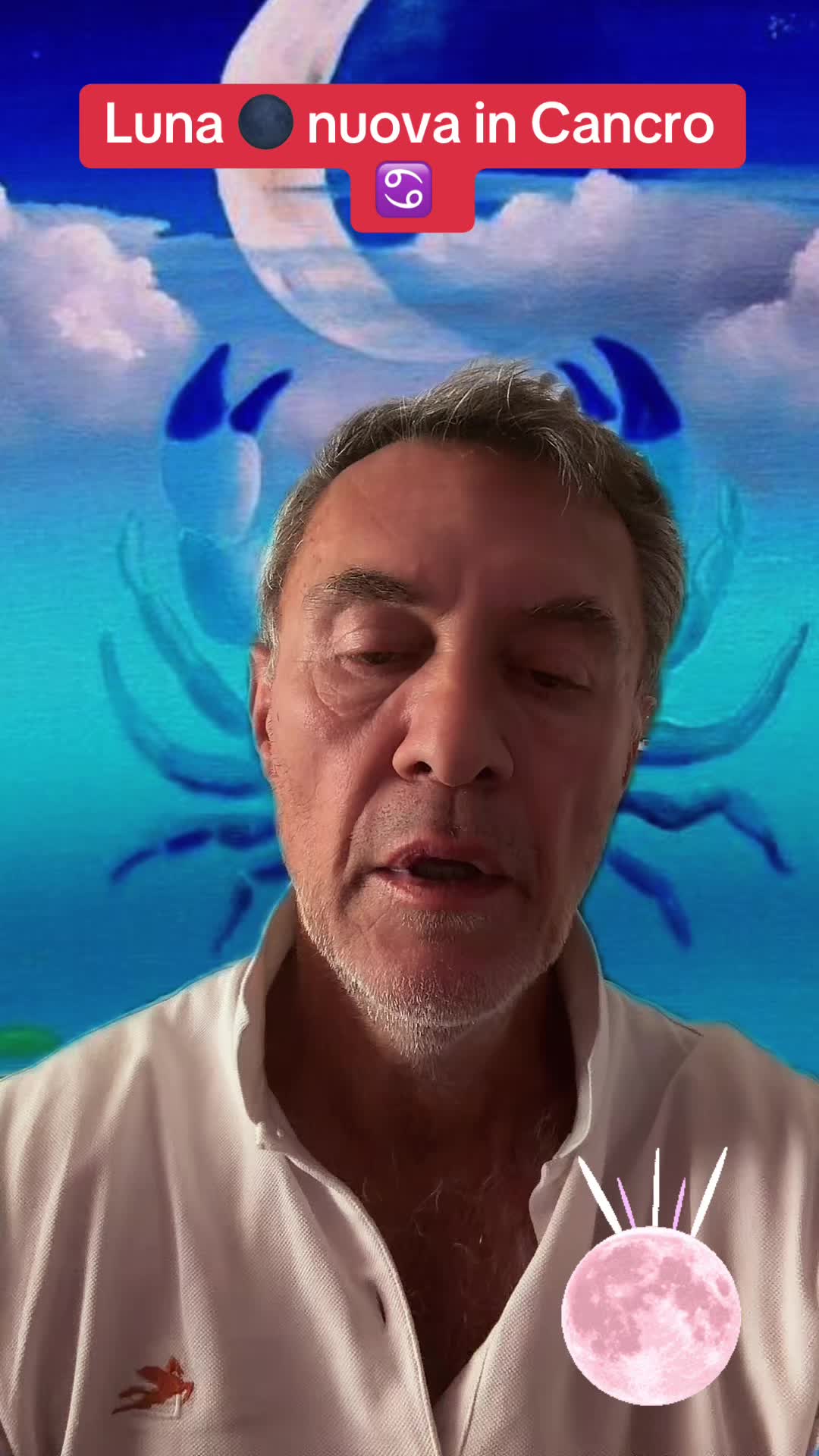 @stefanovighi