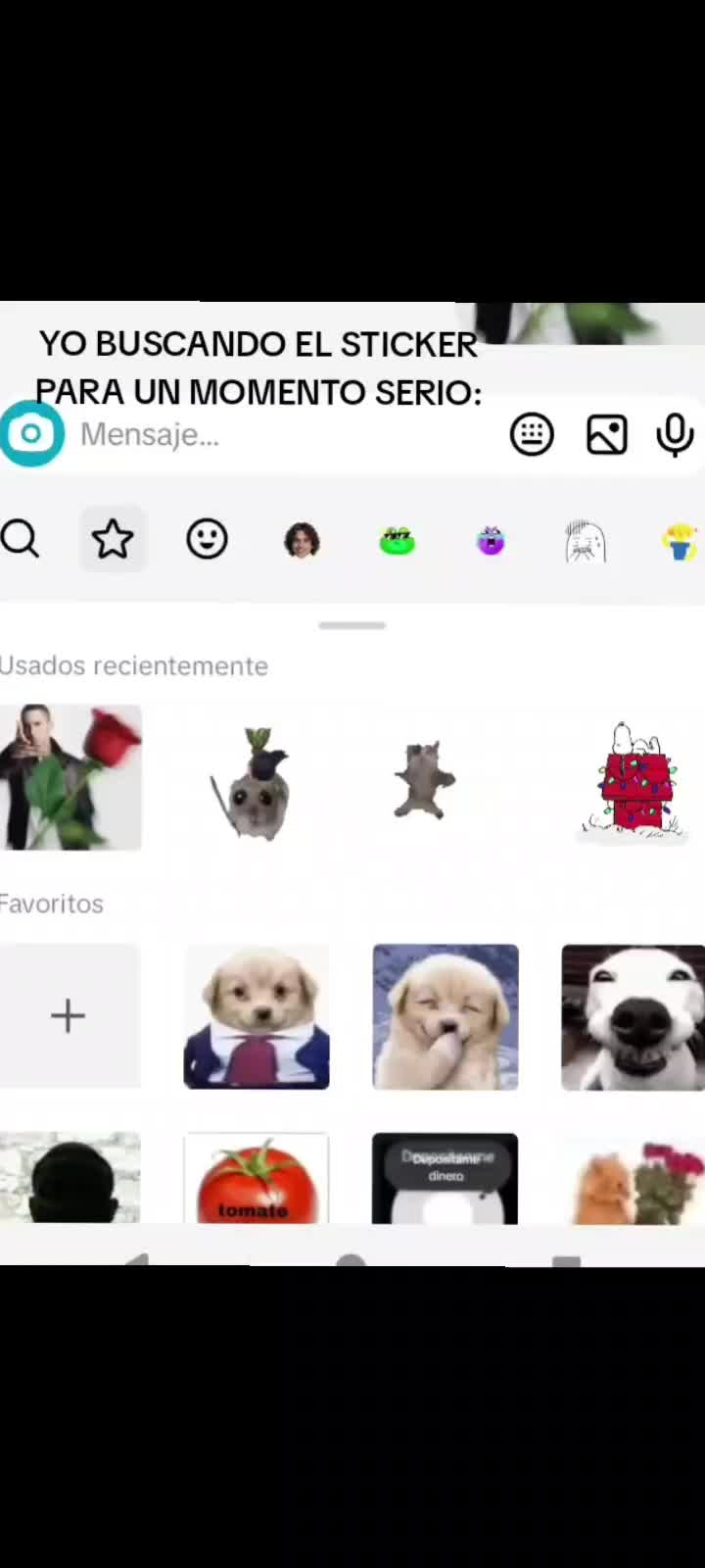 @£:Valeri:£