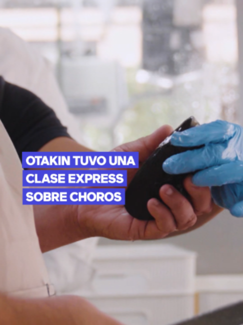 @Mega