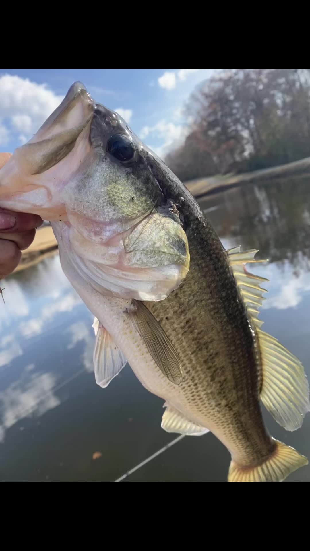 @KING!!🎣🎣✝️