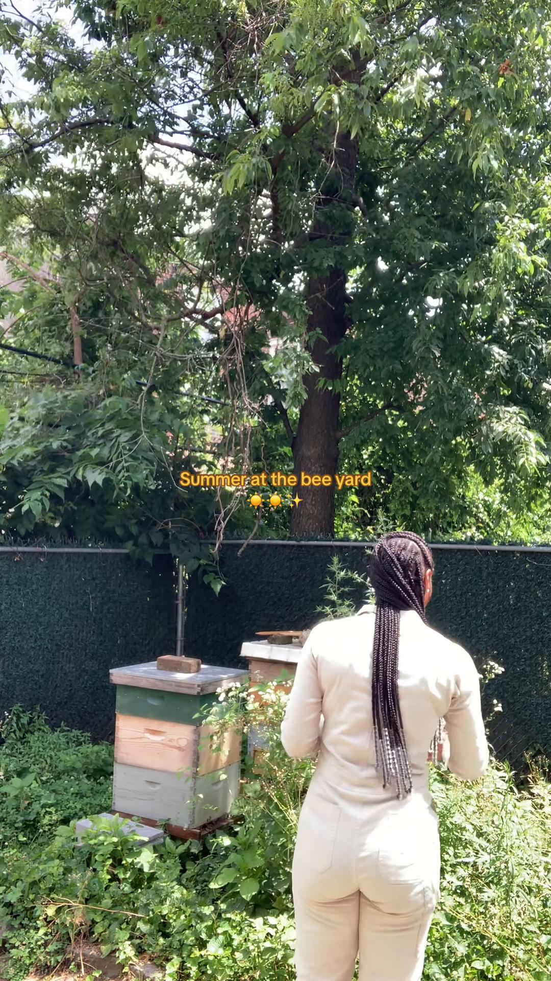 @miss honey 🐝