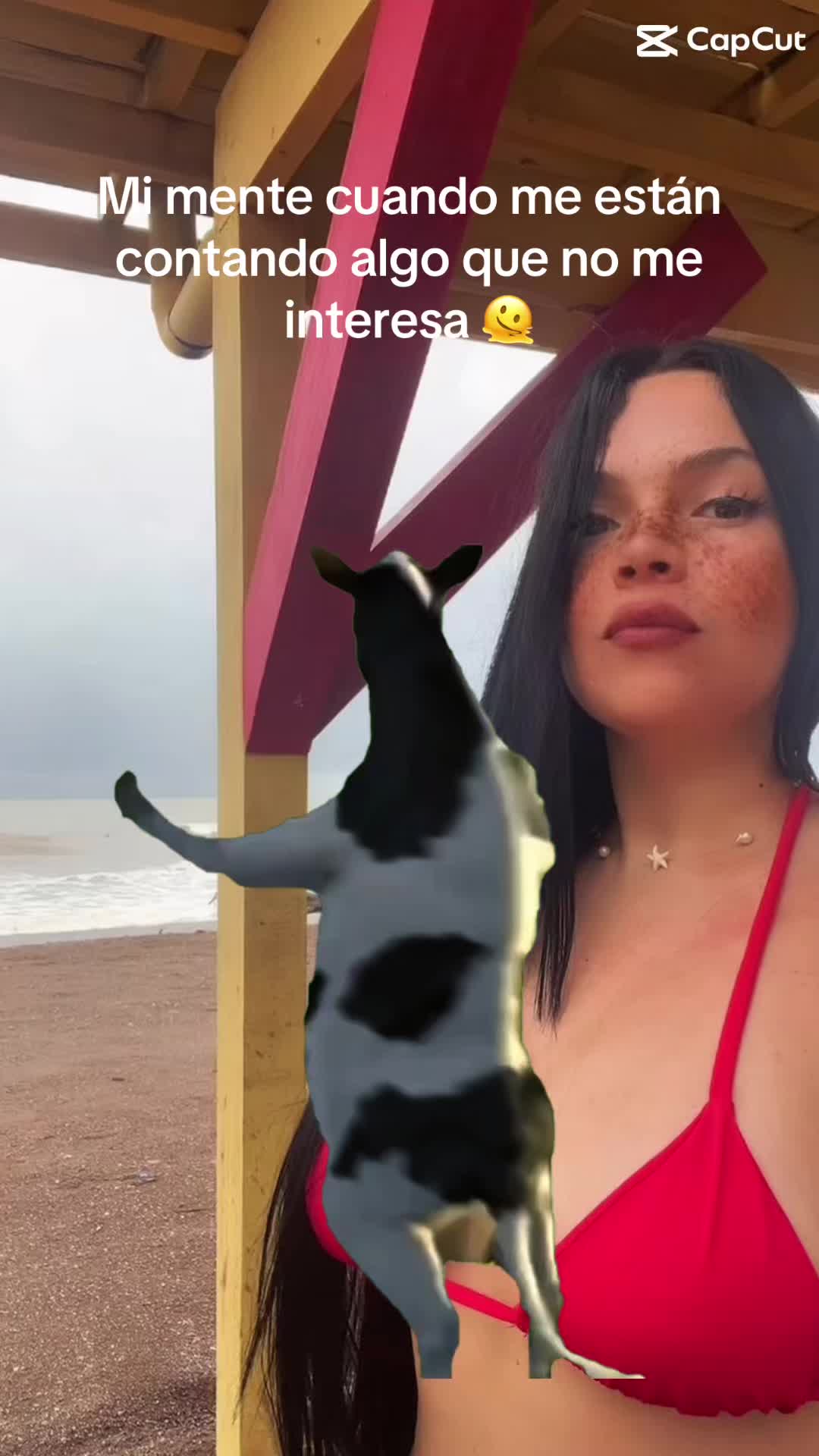@Irene