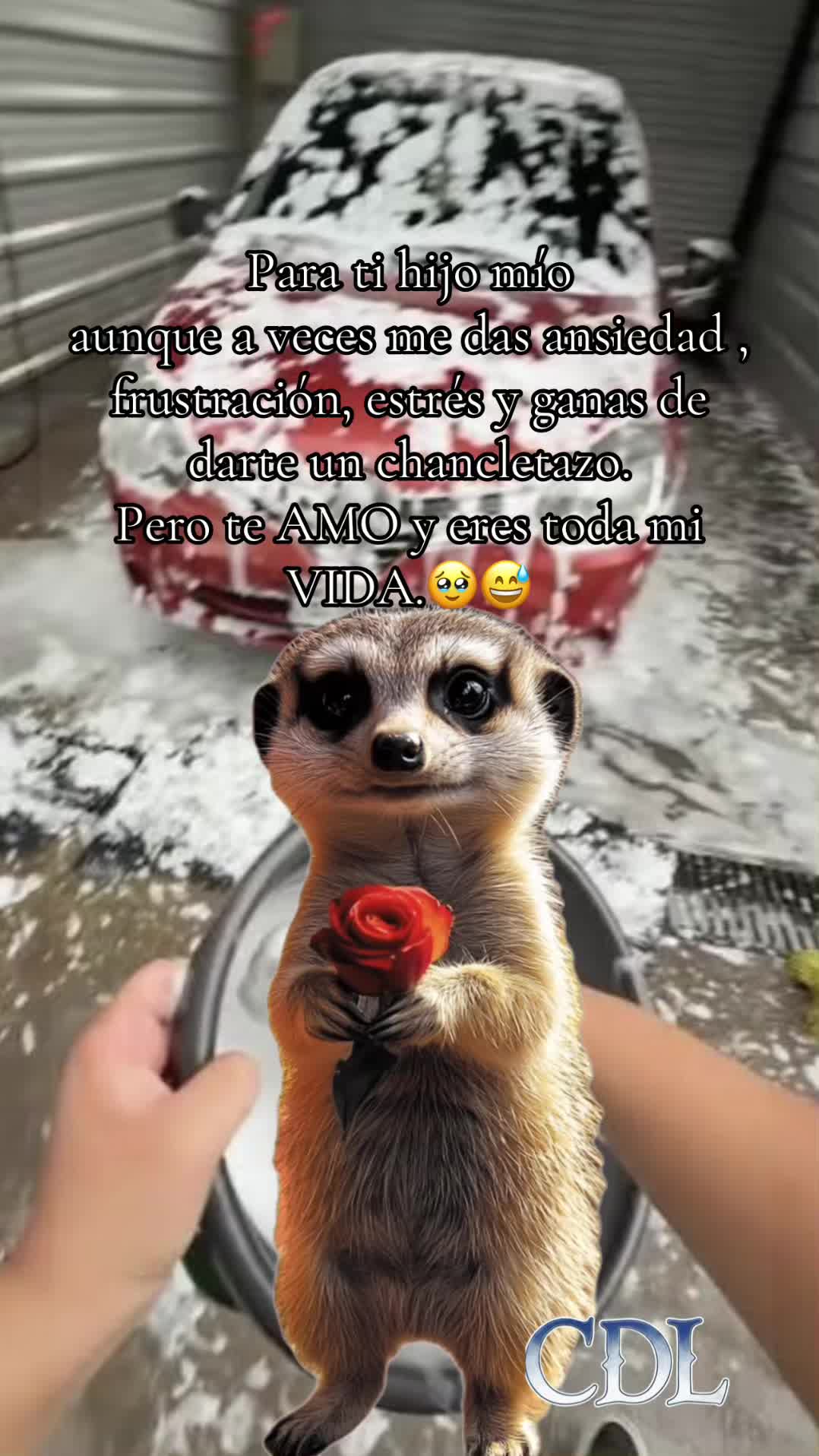@padresehijos_2.