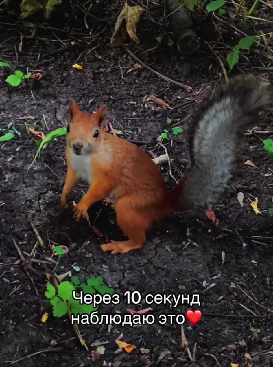 @тгк: ЯНА МИСТИК