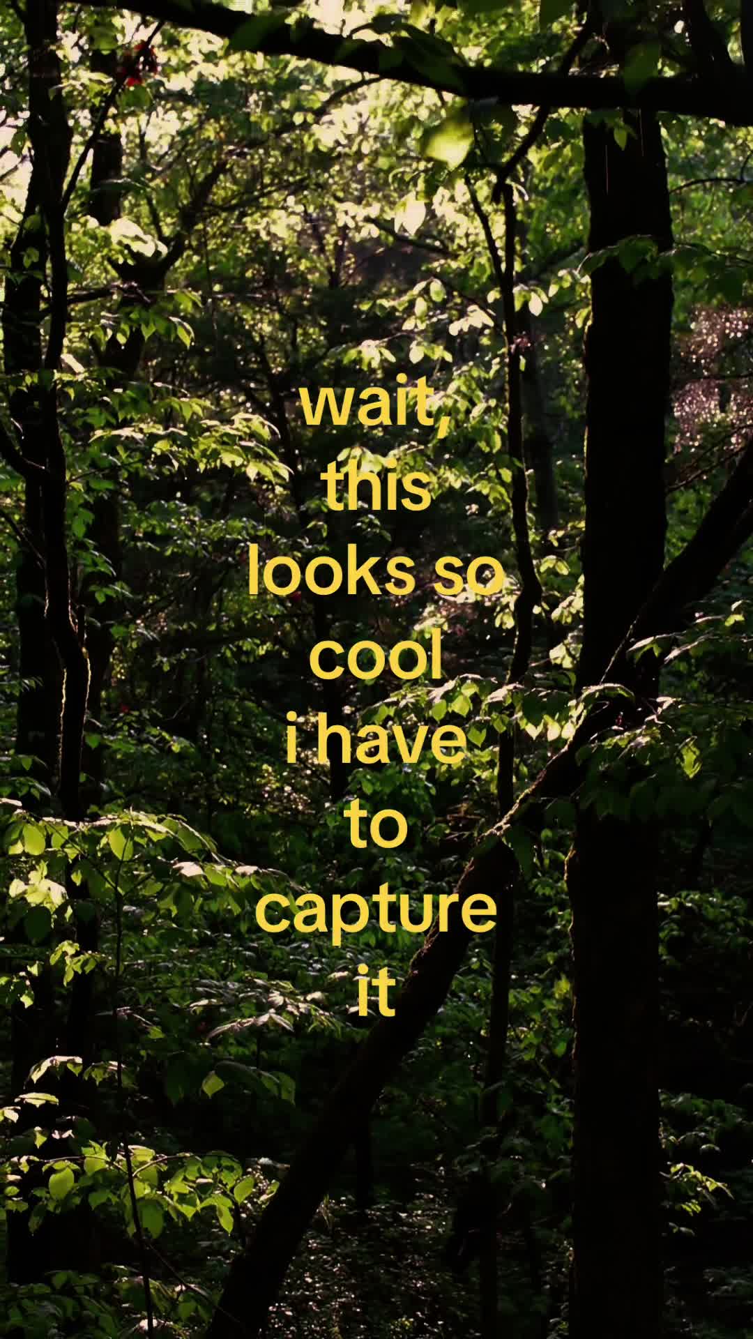 @Sky