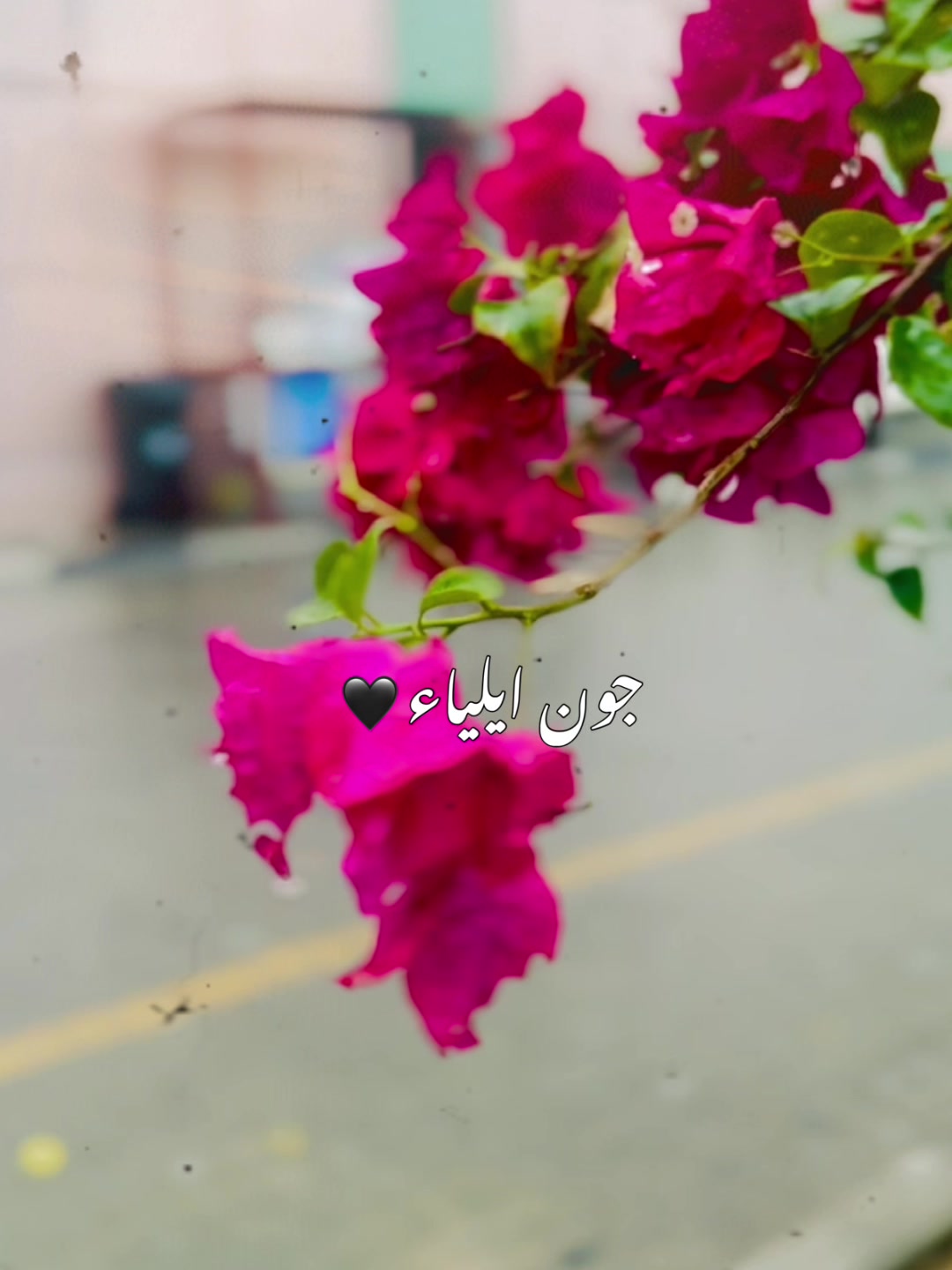 @� غلام بادشاہ سندری �🇦🇪