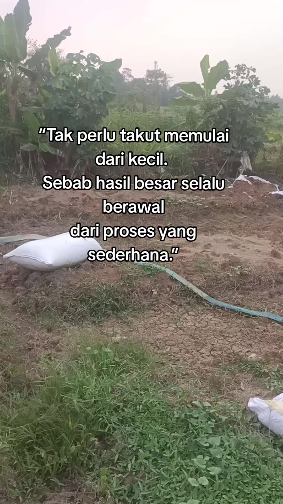 @Istri tani🌱🌶️🥒🫘