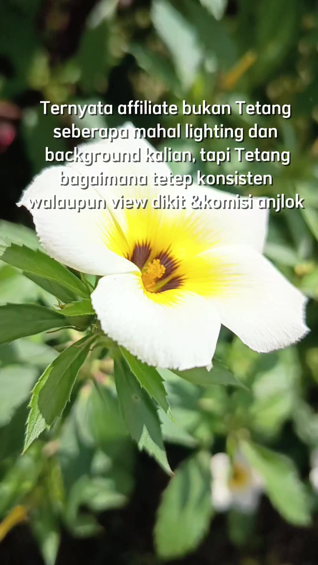 @KangPromo🫰