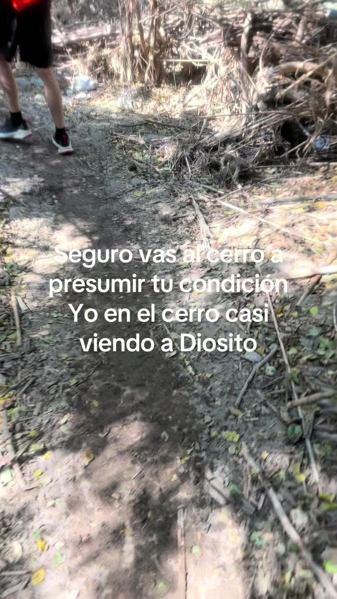@Veronica Cuacuas