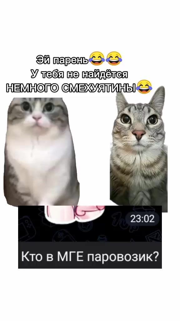 @Gde Hleb 🥪🍞