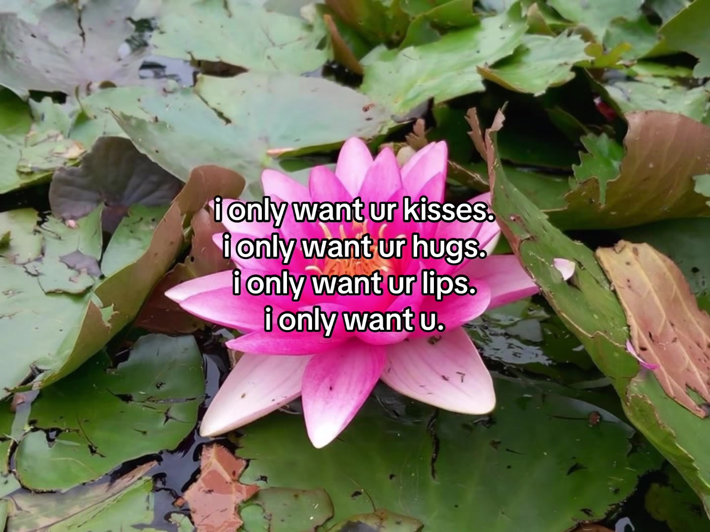 @flowercorrre