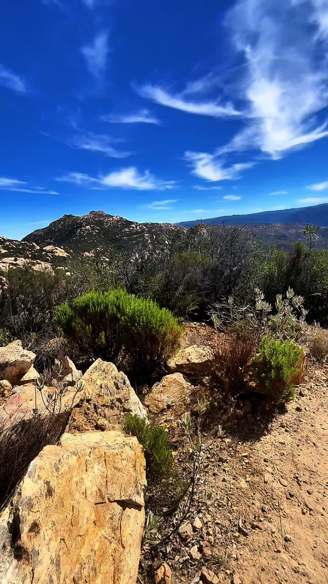 @Cris⛰️🌲