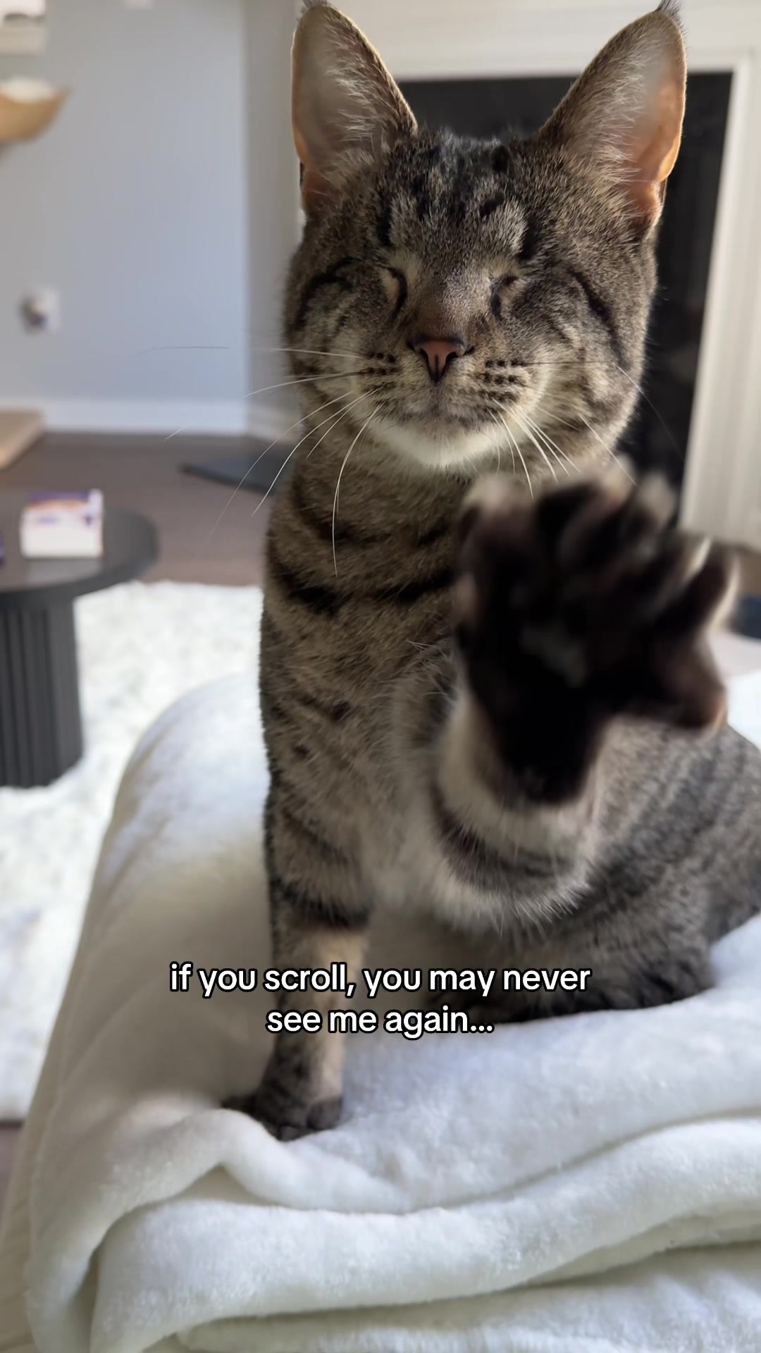 @𝘼𝙢𝙗𝙚𝙧 & 𝙎𝙩𝙚𝙫𝙞𝙚
