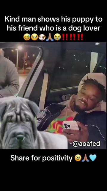 @aoafed
