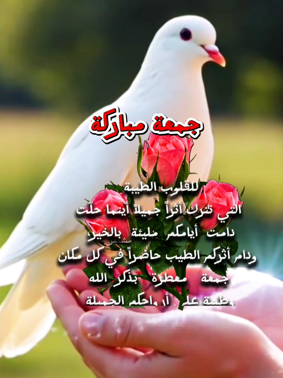 @مشاعر