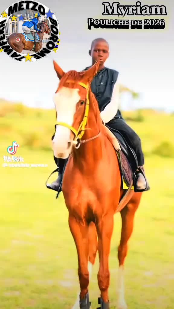 @Metzo🐎 bou tawfekh⚔️
