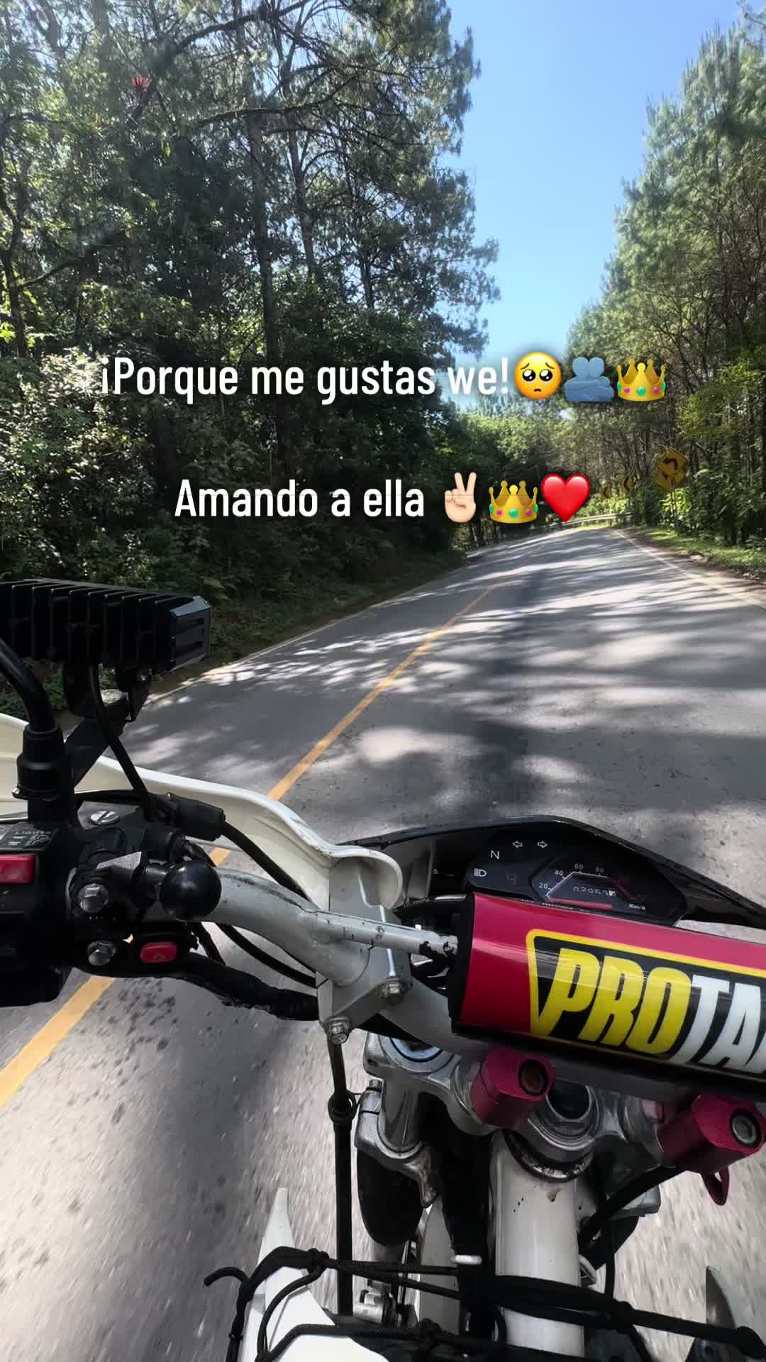 @Alexander 701 🗣️😼