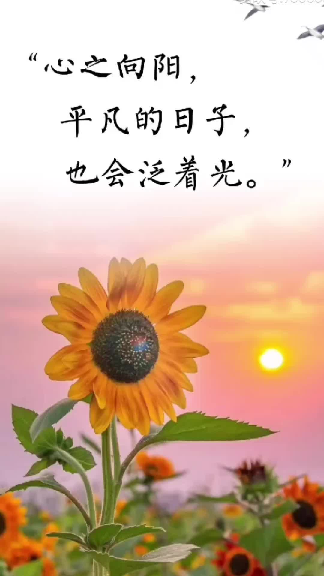 @Chin Fong