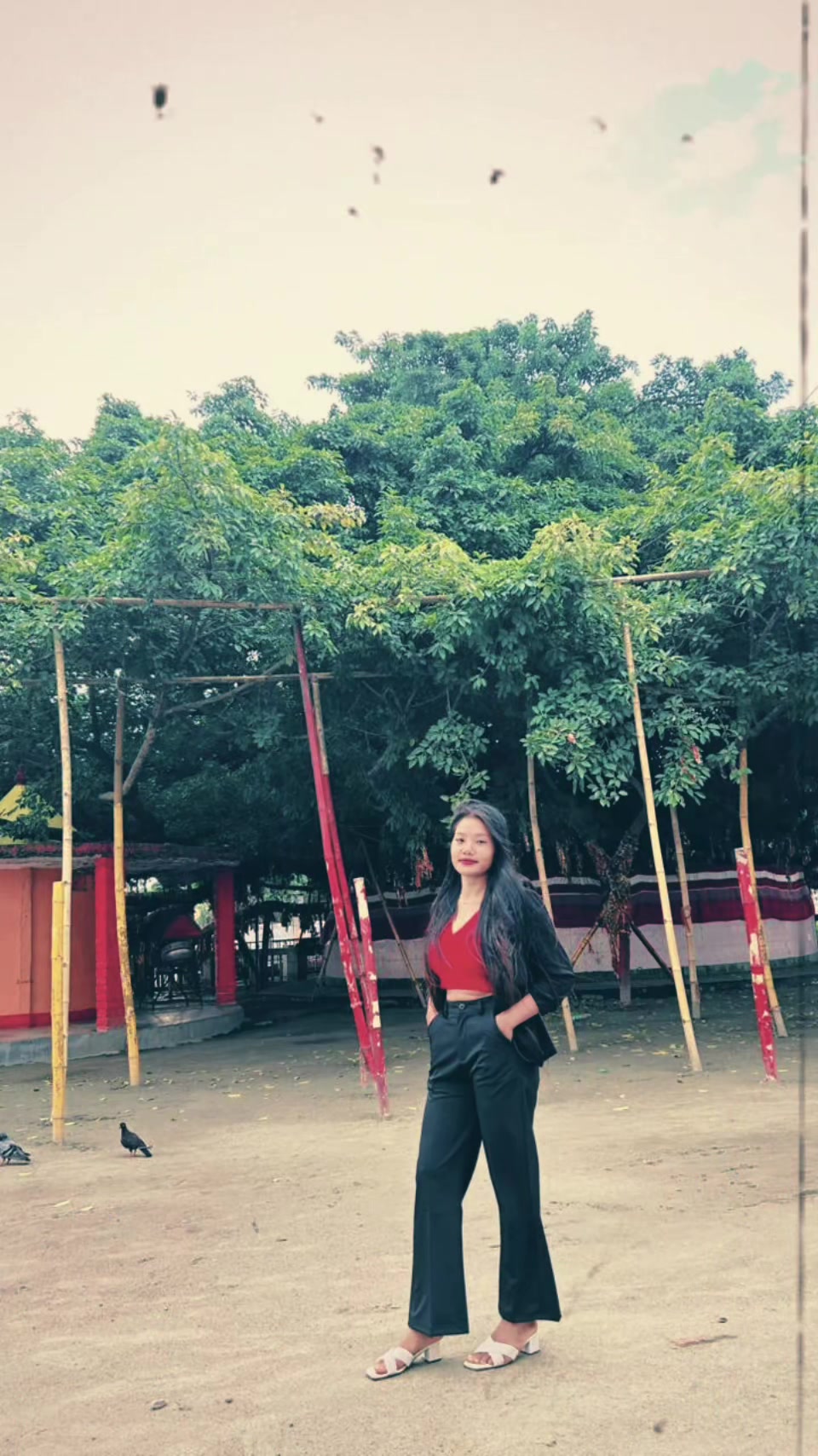 @swostikadhimal386