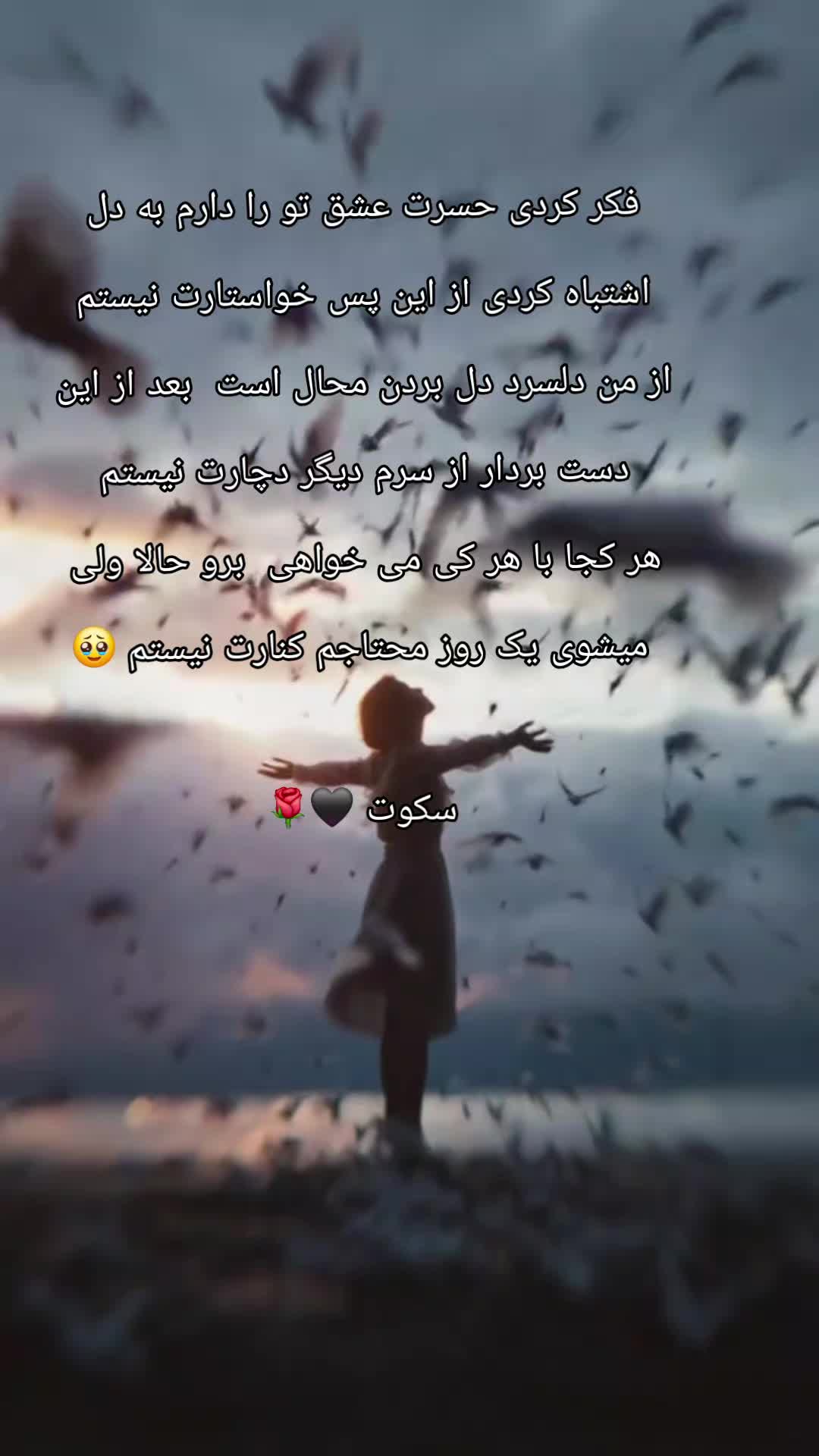@سکوت 🌺🌺🌺