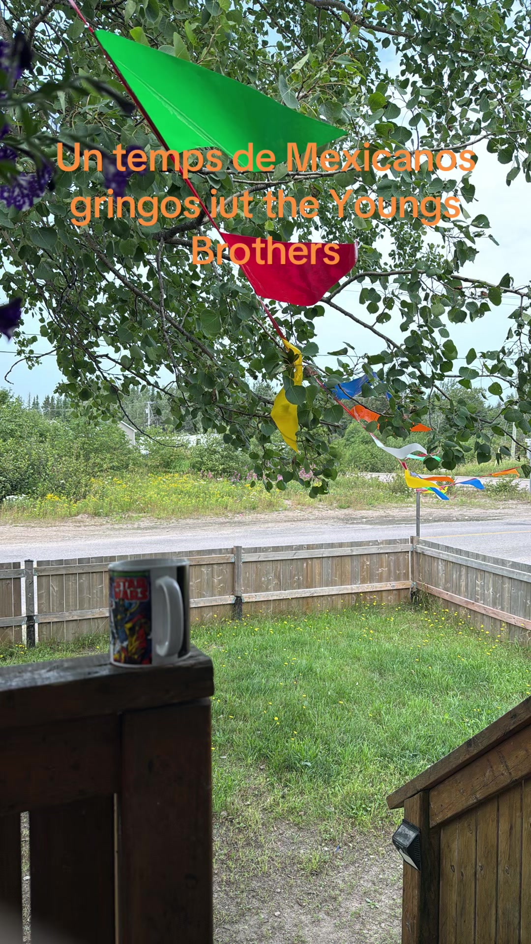 @26UN55